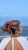 IMG_5453.jpeg