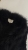 A33EA2BD-CC79-40ED-9D1B-8E83EE233392.jpeg