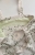IMG_3771.jpeg