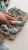 IMG_7514.jpeg