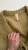 IMG_7234.jpeg