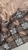 IMG_3961.jpeg