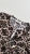 IMG_1826.jpeg