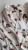 IMG_0405.jpeg