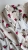 IMG_5535.jpeg