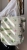 IMG_5520.jpeg