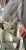 IMG_5523.jpeg